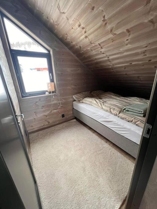 Rindabotn Fjelltun In-ski Out Apartment Sogndal